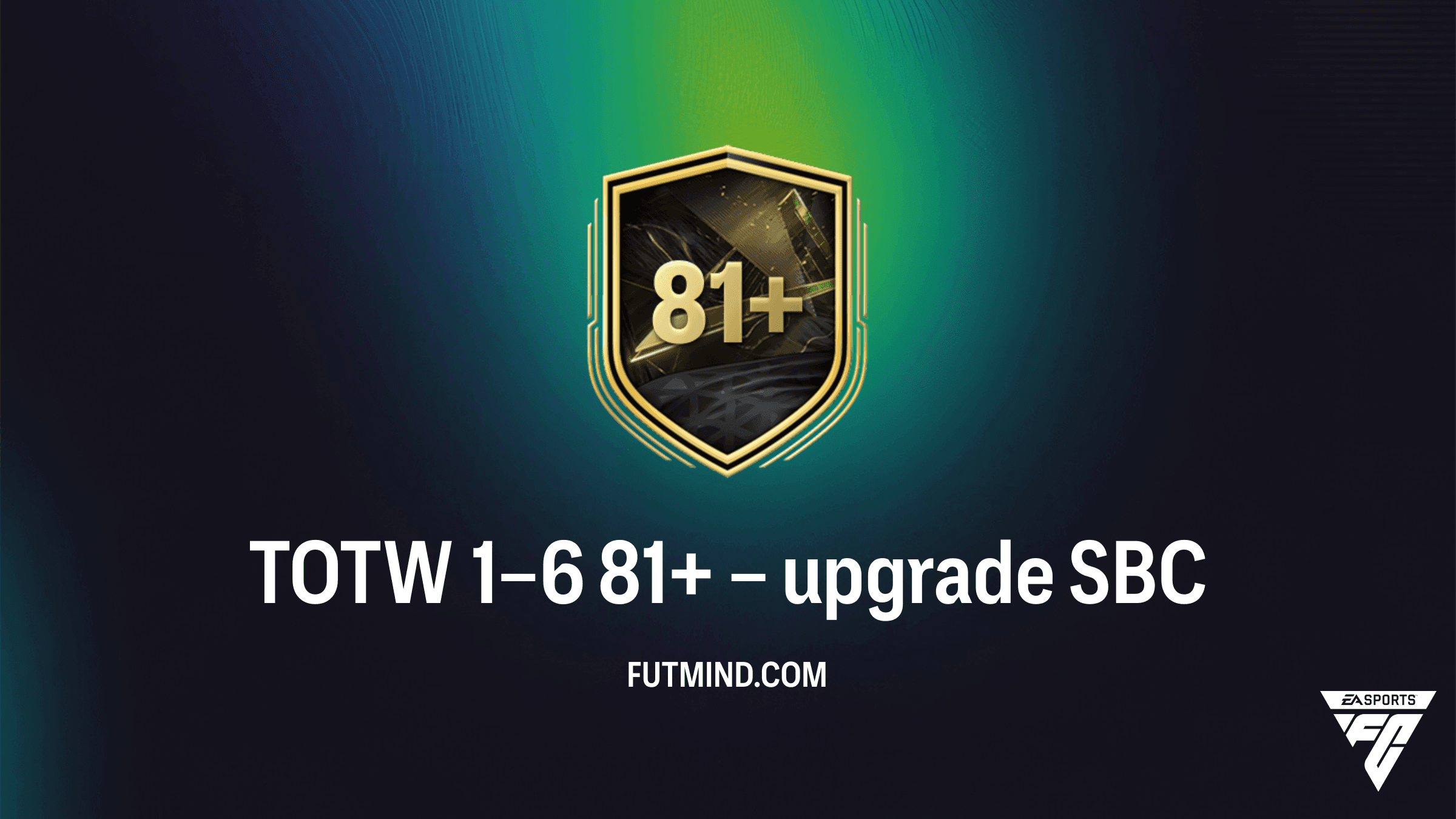 TOTW 1–6 81+ – upgrade VTT: Přehled, náklady a řešení