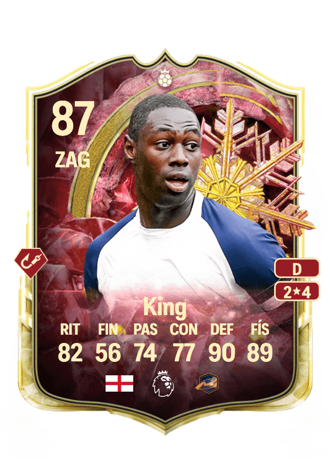 Ledley King card