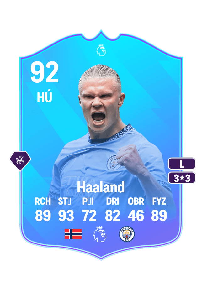 Erling Haaland card