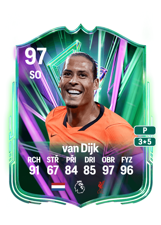 Virgil van Dijk card