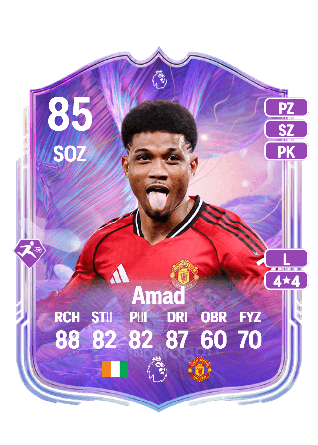 Amad card