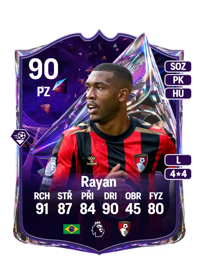 Rayan card