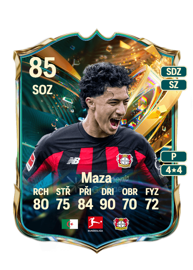 Ibrahim Maza card