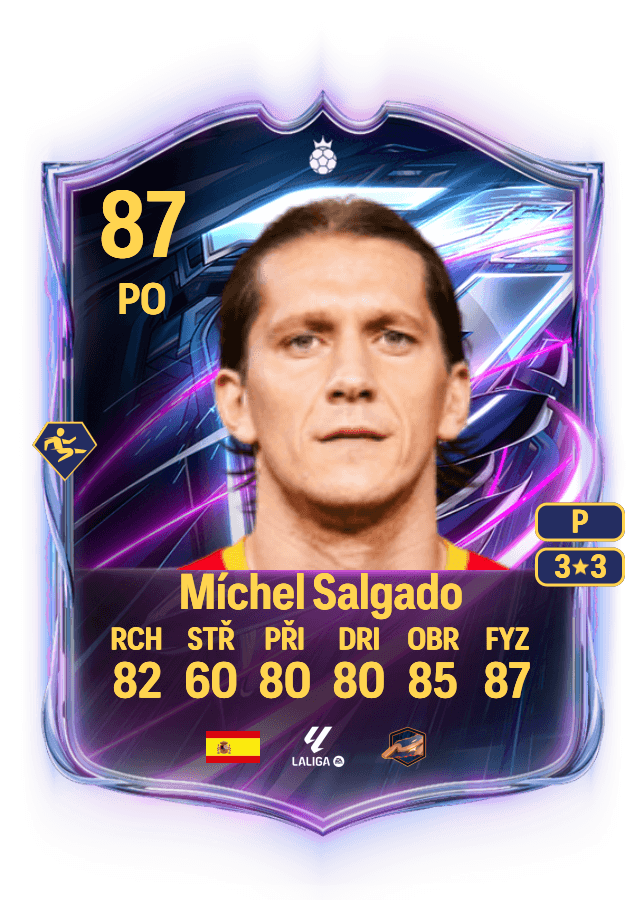Míchel Salgado card