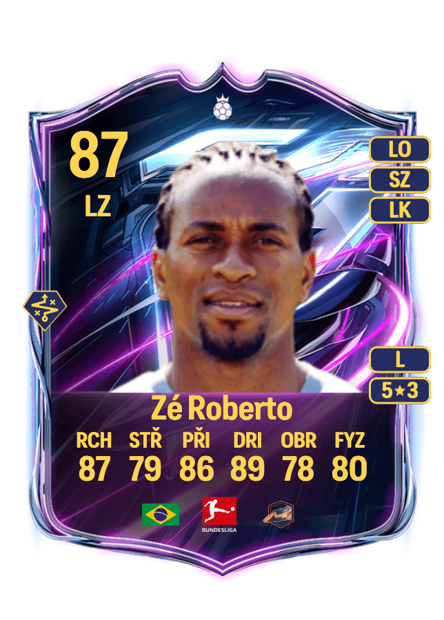 Zé Roberto card