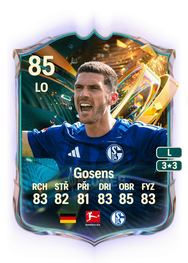 Robin Gosens card