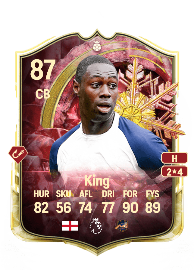 Ledley King card