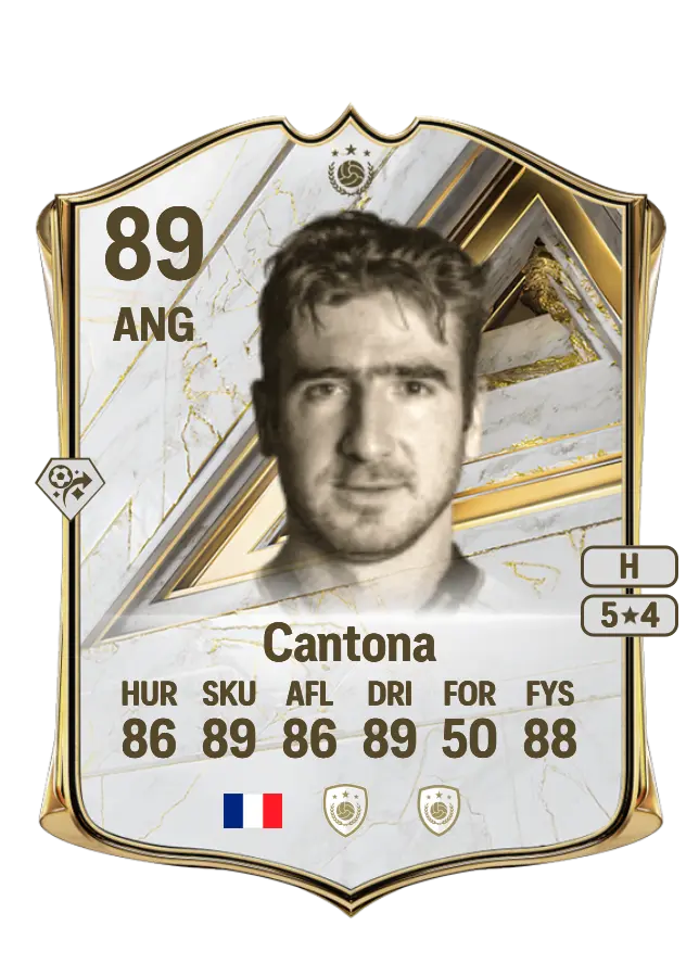 Eric Cantona card
