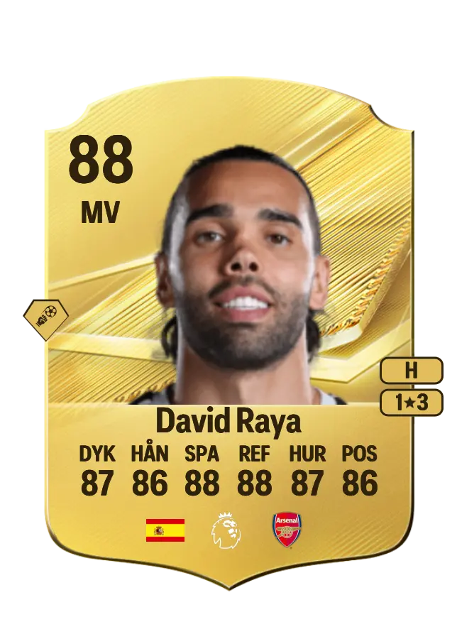 David Raya card