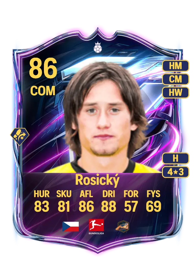 Tomáš Rosický card