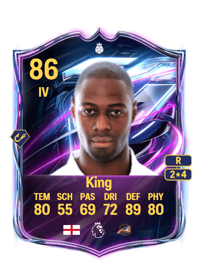 Ledley King card