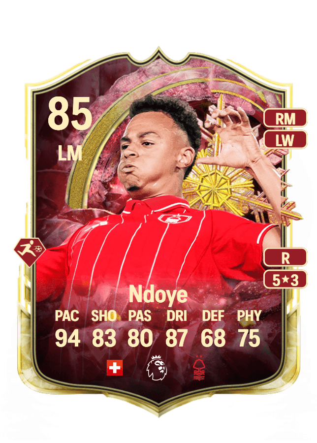 Dan Ndoye card