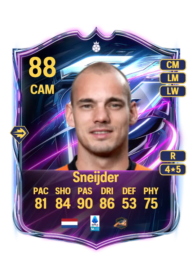 Wesley Sneijder card