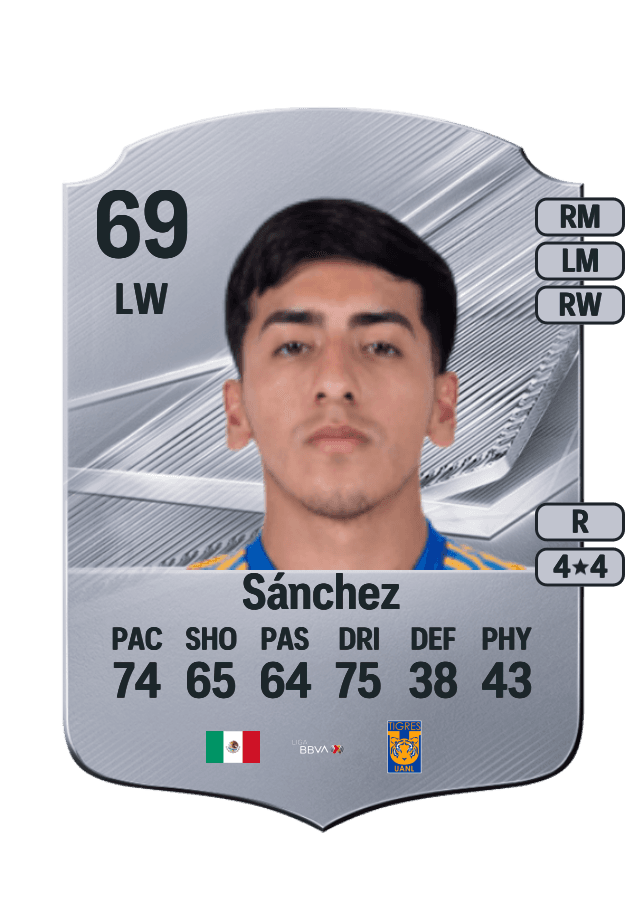Diego Sánchez card