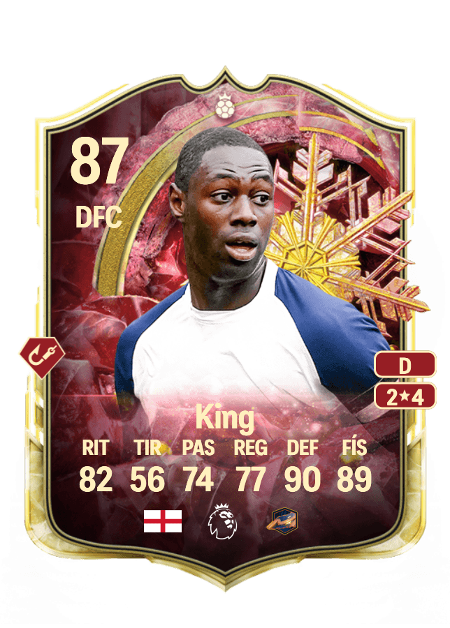 Ledley King card