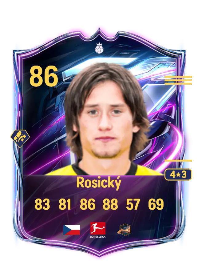 Tomáš Rosický card