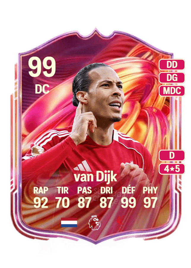 Virgil van Dijk card