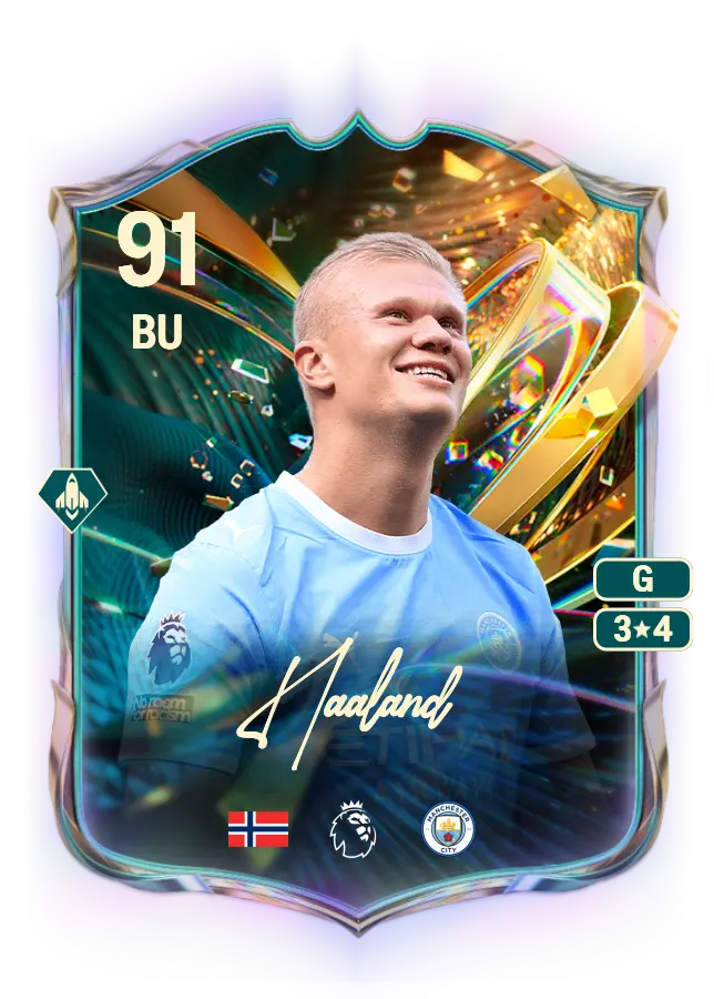 Erling Haaland card