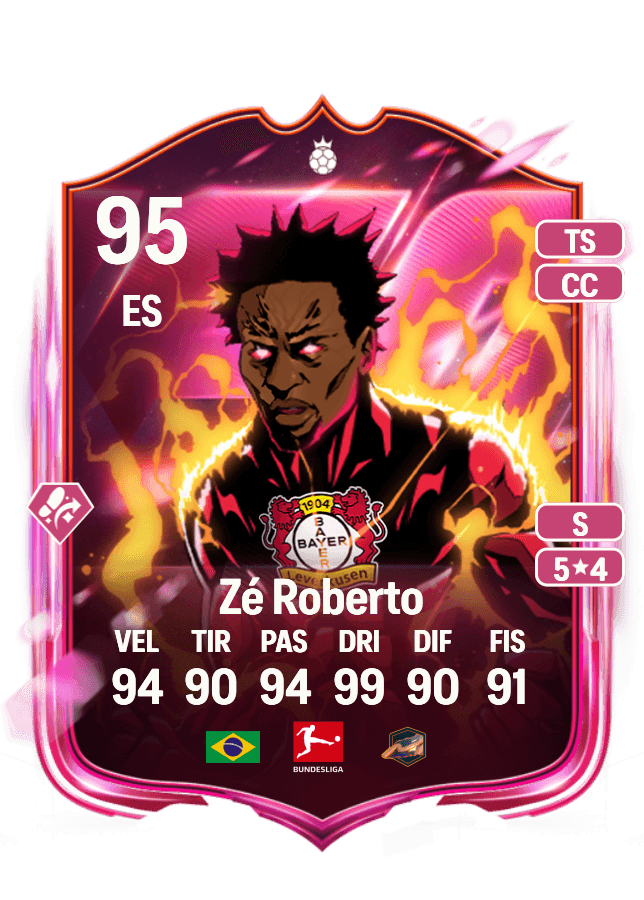 Zé Roberto card
