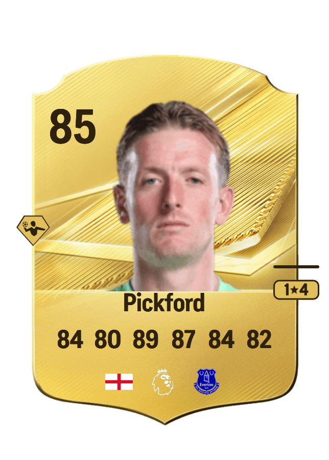 Jordan Pickford card