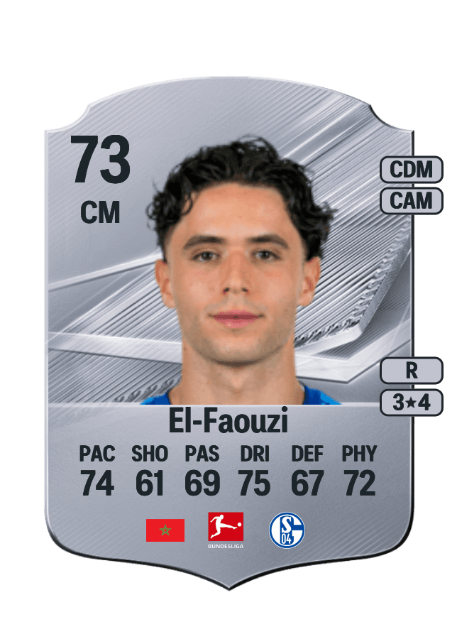 Soufiane El-Faouzi card