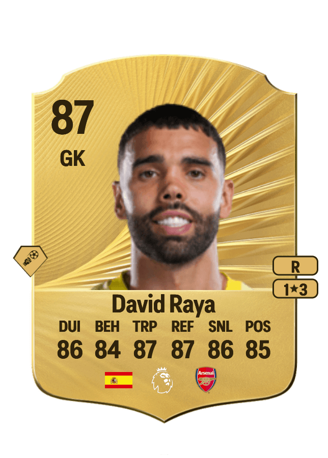 David Raya card
