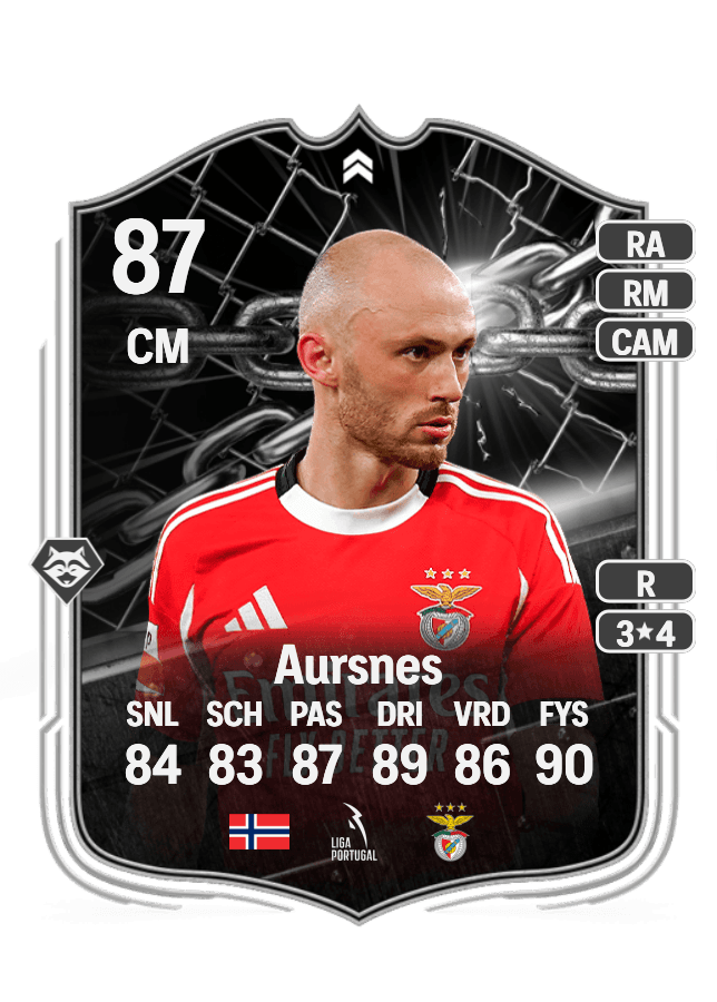 Fredrik Aursnes card
