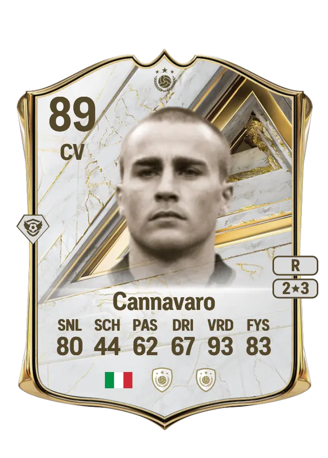 Fabio Cannavaro card