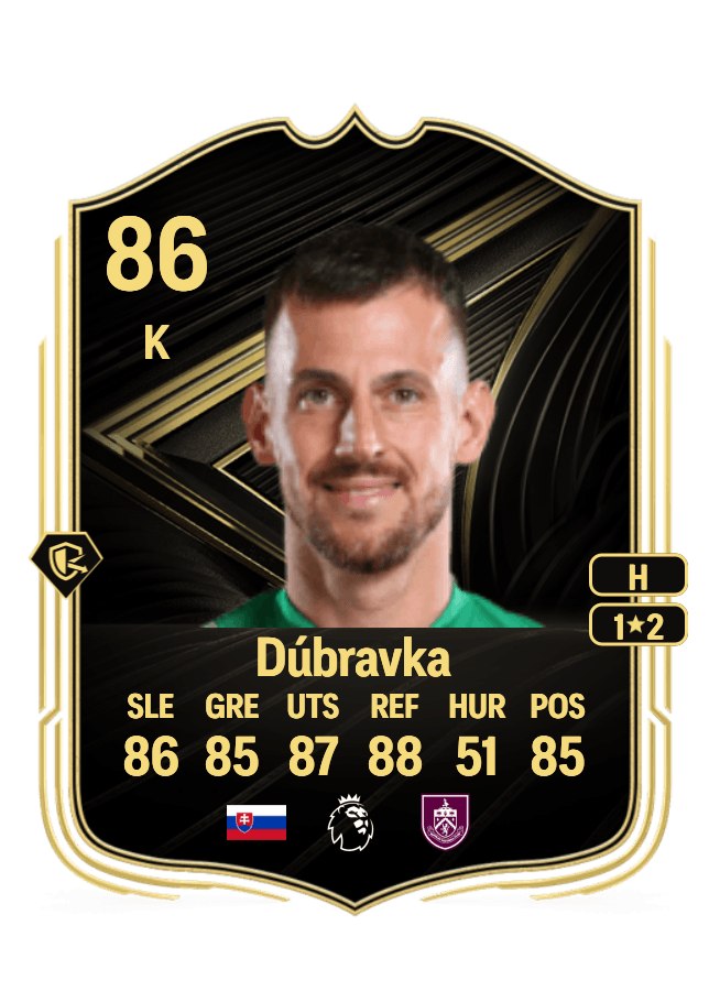 Martin Dúbravka card