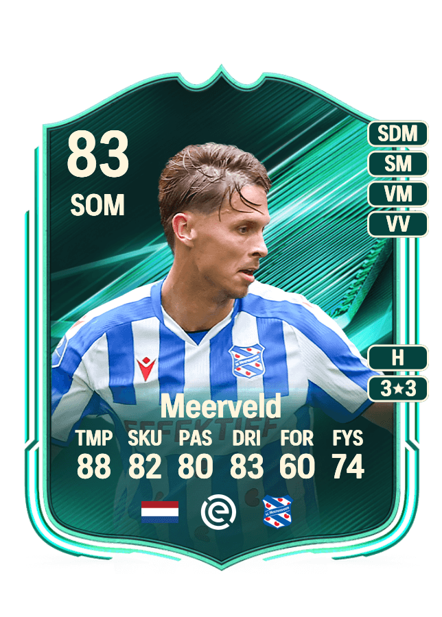 Ringo Meerveld card