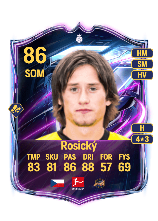 Tomáš Rosický card