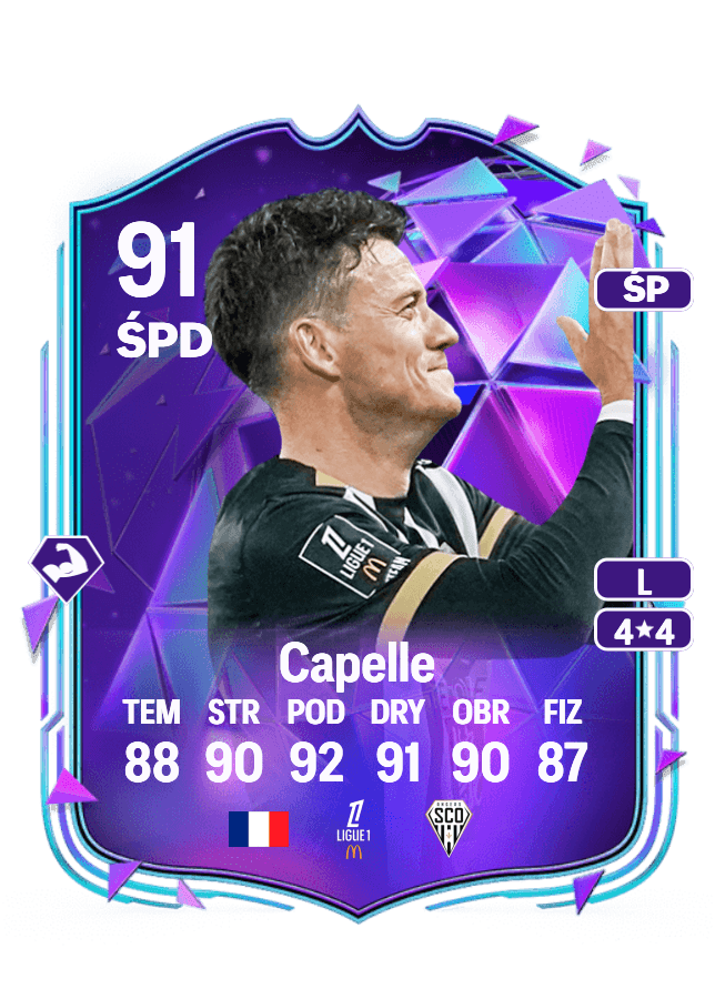 Pierrick Capelle card