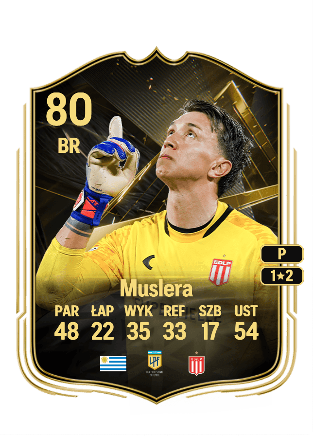 Fernando Muslera card