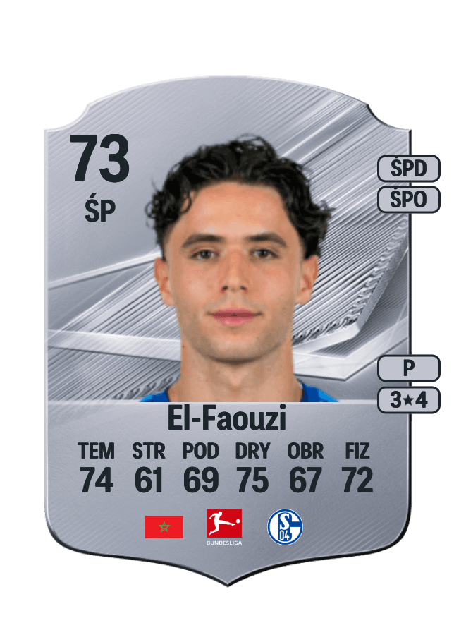 Soufiane El-Faouzi card