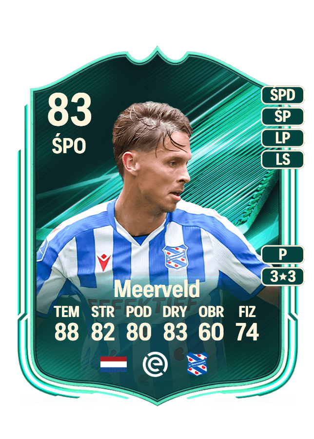 Ringo Meerveld card