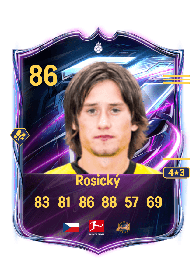 Tomáš Rosický card