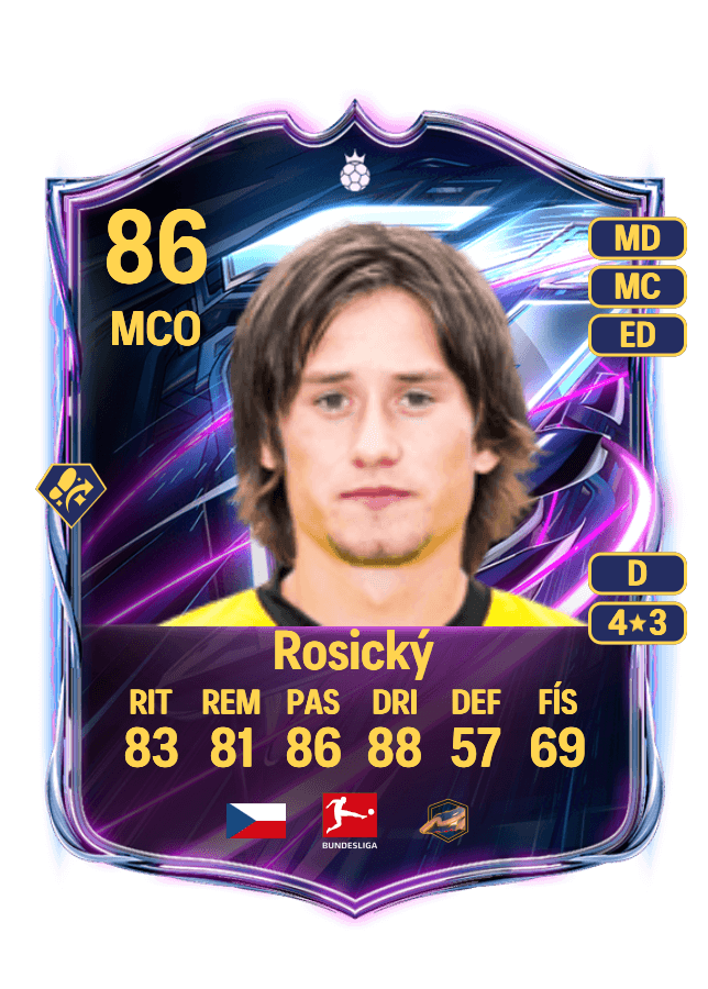 Tomáš Rosický card