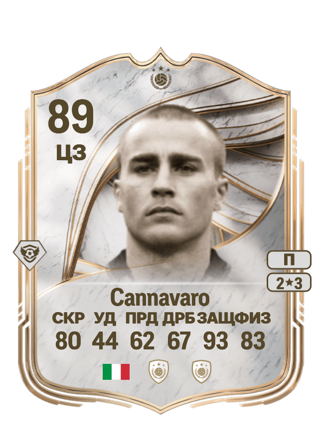 Fabio Cannavaro card