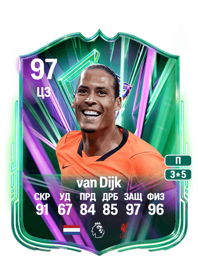 Virgil van Dijk card