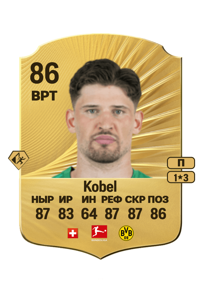 Gregor Kobel card