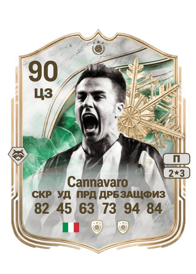 Fabio Cannavaro card