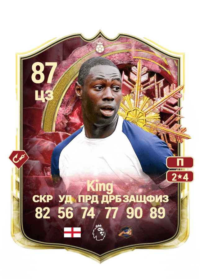 Ledley King card