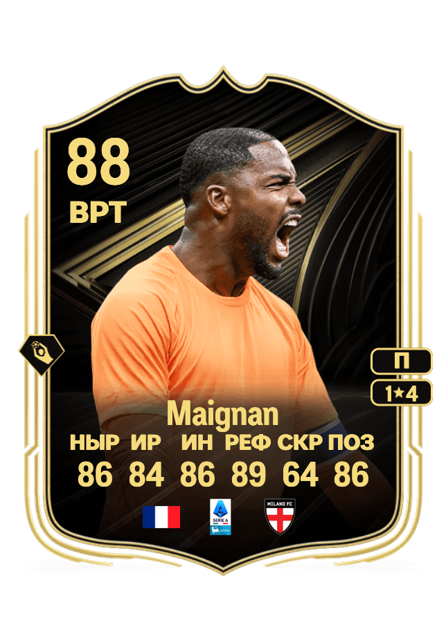 Mike Maignan card