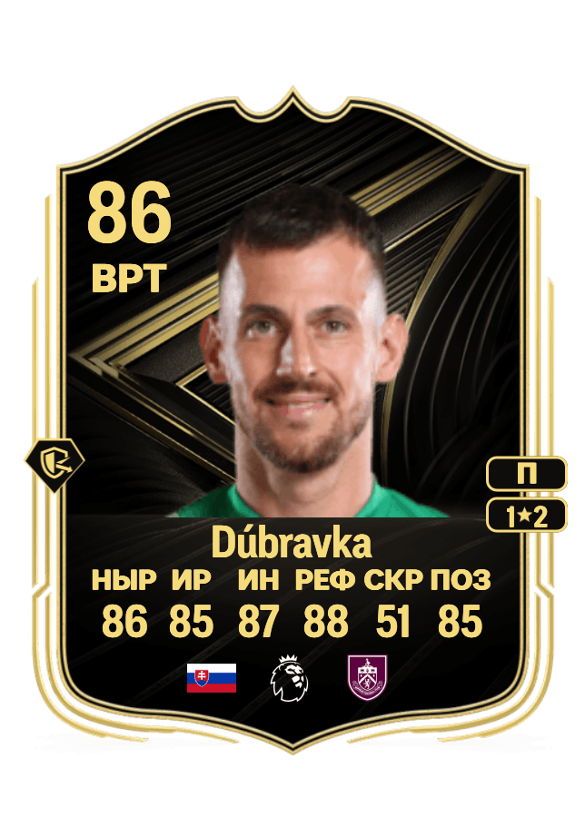 Martin Dúbravka card