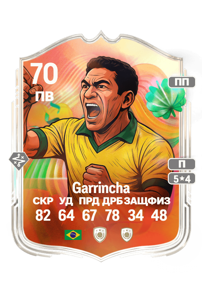 Garrincha card
