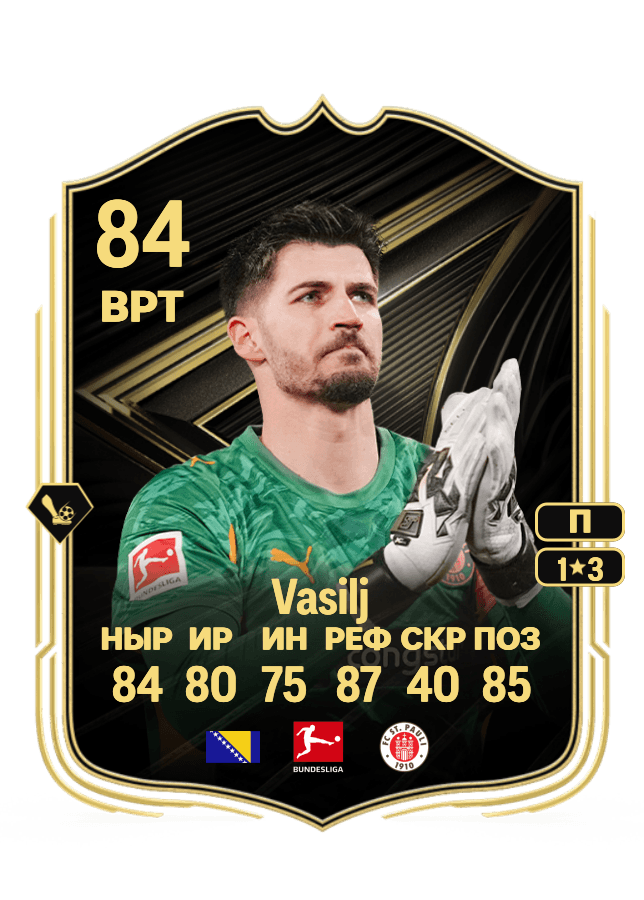 Nikola Vasilj card
