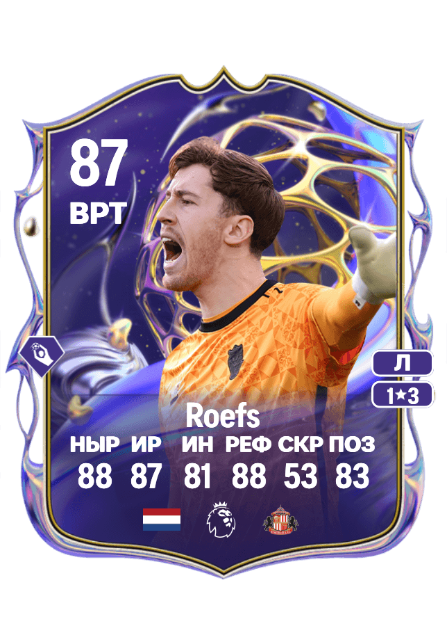 Robin Roefs card