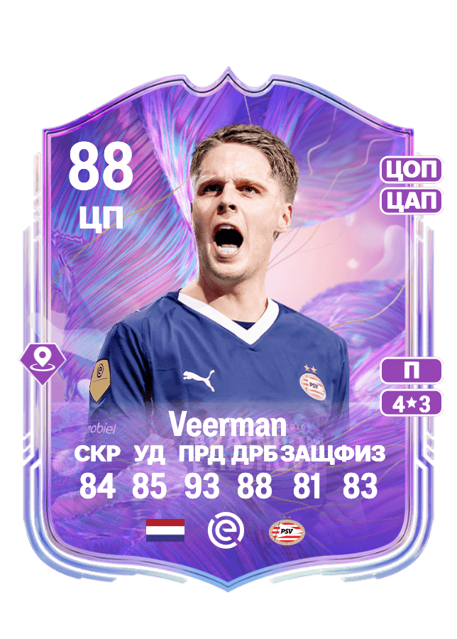 Joey Veerman card