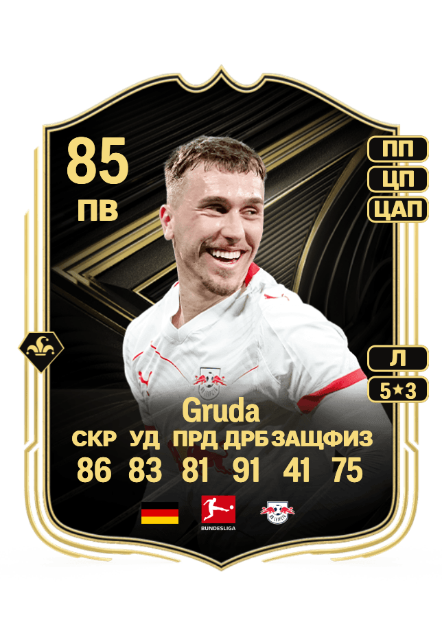 Brajan Gruda card