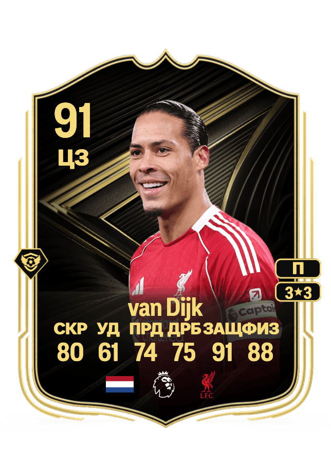 Virgil van Dijk card